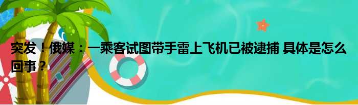 突发！俄媒：一乘客试图带手雷上飞机已被逮捕 具体是怎么回事？