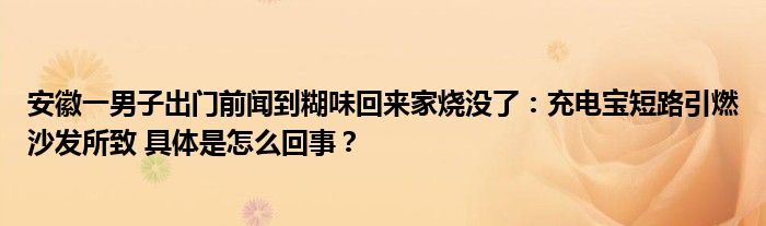 安徽一男子出门前闻到糊味回来家烧没了：充电宝短路引燃沙发所致 具体是怎么回事？