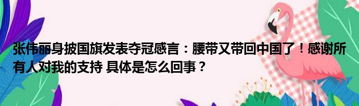 张伟丽身披国旗发表夺冠感言：腰带又带回中国了！感谢所有人对我的支持 具体是怎么回事？