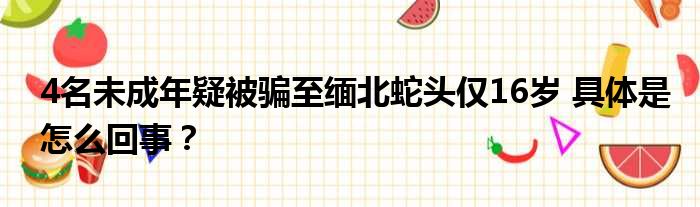 4名未成年疑被骗至缅北蛇头仅16岁 具体是怎么回事？