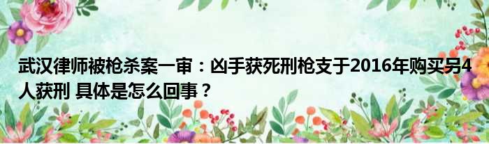 武汉律师被枪杀案一审：凶手获死刑枪支于2016年购买另4人获刑 具体是怎么回事？