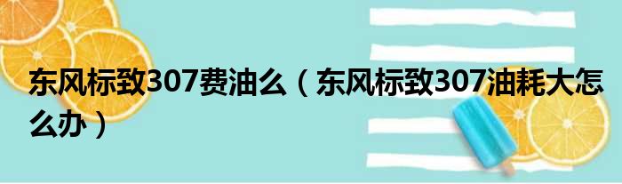 东风标致307费油么（东风标致307油耗大怎么办）