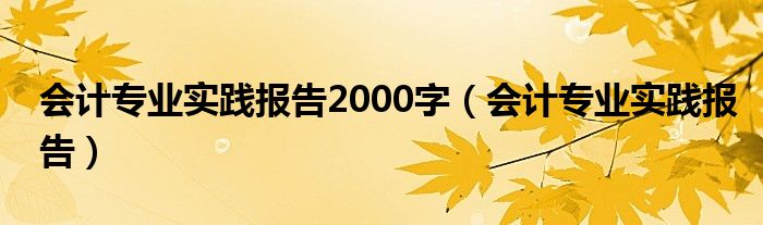 会计专业实践报告2000字（会计专业实践报告）