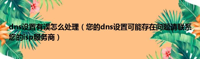 dns设置有误怎么处理（您的dns设置可能存在问题请联系您的isp服务商）