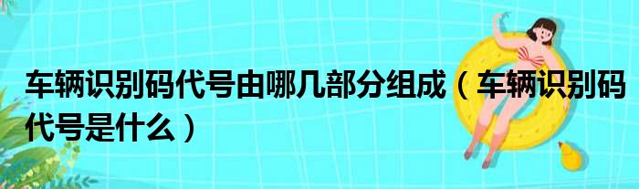 车辆识别码代号由哪几部分组成（车辆识别码代号是什么）