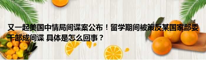 又一起美国中情局间谍案公布！留学期间被策反某国家部委干部成间谍 具体是怎么回事？