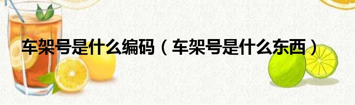 车架号是什么编码（车架号是什么东西）