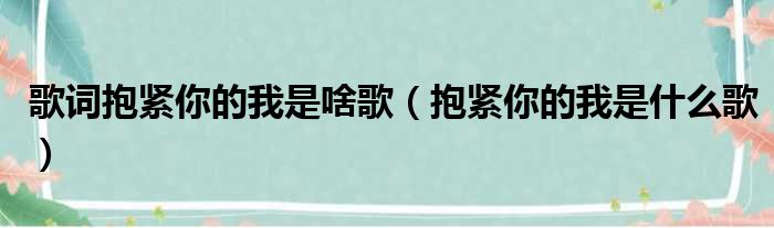 歌词抱紧你的我是啥歌（抱紧你的我是什么歌）