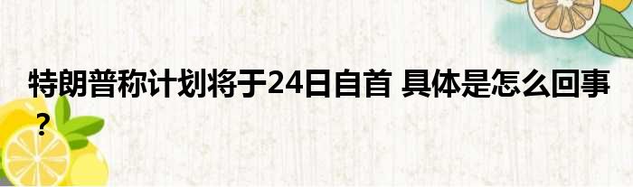 特朗普称计划将于24日自首 具体是怎么回事？