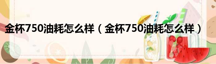 金杯750油耗怎么样（金杯750油耗怎么样）