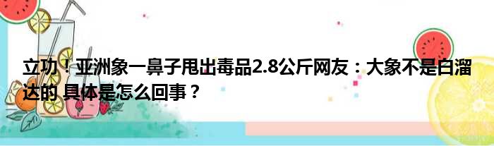 立功！亚洲象一鼻子甩出毒品2.8公斤网友：大象不是白溜达的 具体是怎么回事？