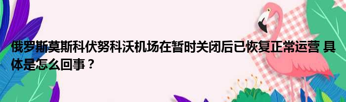 俄罗斯莫斯科伏努科沃机场在暂时关闭后已恢复正常运营 具体是怎么回事？