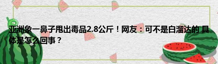 亚洲象一鼻子甩出毒品2.8公斤！网友：可不是白溜达的 具体是怎么回事？