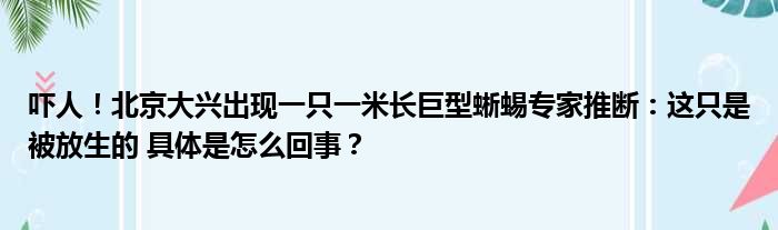 吓人！北京大兴出现一只一米长巨型蜥蜴专家推断：这只是被放生的 具体是怎么回事？