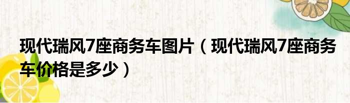 现代瑞风7座商务车图片（现代瑞风7座商务车价格是多少）