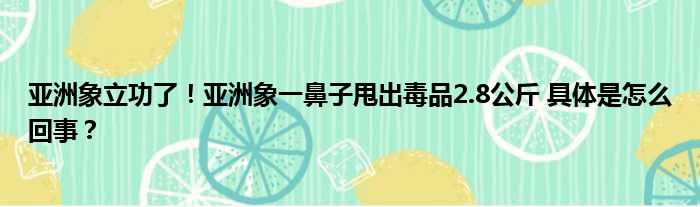 亚洲象立功了！亚洲象一鼻子甩出毒品2.8公斤 具体是怎么回事？