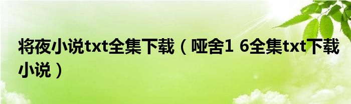 将夜小说txt全集下载（哑舍1 6全集txt下载小说）