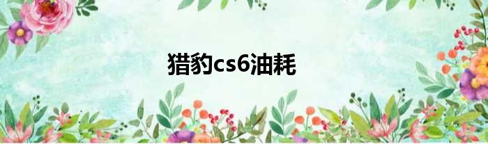 猎豹cs6油耗