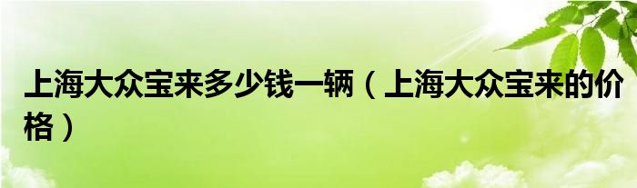 上海大众宝来多少钱一辆（上海大众宝来的价格）