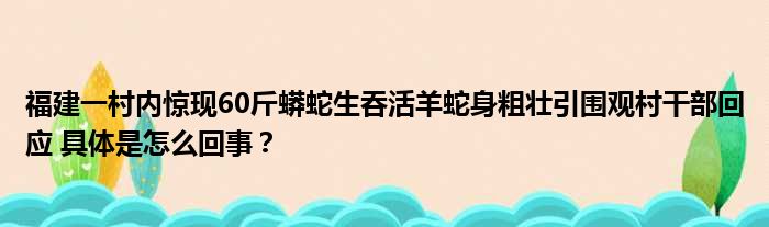 福建一村内惊现60斤蟒蛇生吞活羊蛇身粗壮引围观村干部回应 具体是怎么回事？