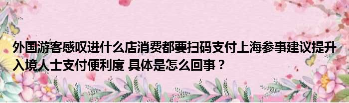 外国游客感叹进什么店消费都要扫码支付上海参事建议提升入境人士支付便利度 具体是怎么回事？