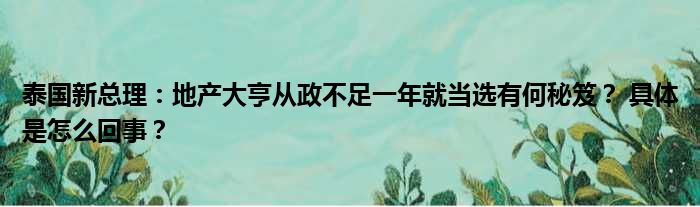 泰国新总理：地产大亨从政不足一年就当选有何秘笈？ 具体是怎么回事？