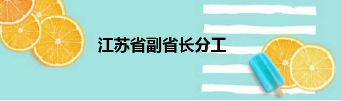 江苏省副省长分工