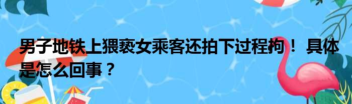 男子地铁上猥亵女乘客还拍下过程拘！ 具体是怎么回事？