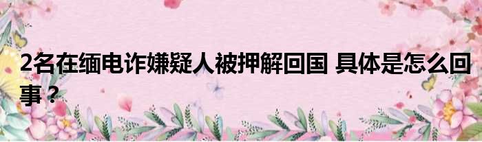 2名在缅电诈嫌疑人被押解回国 具体是怎么回事？