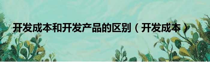 开发成本和开发产品的区别（开发成本）