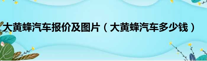 大黄蜂汽车报价及图片（大黄蜂汽车多少钱）