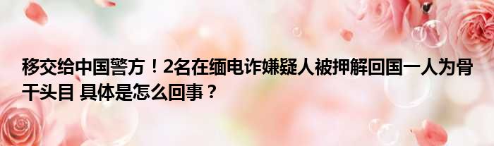 移交给中国警方！2名在缅电诈嫌疑人被押解回国一人为骨干头目 具体是怎么回事？