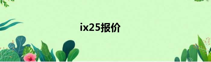 ix25报价