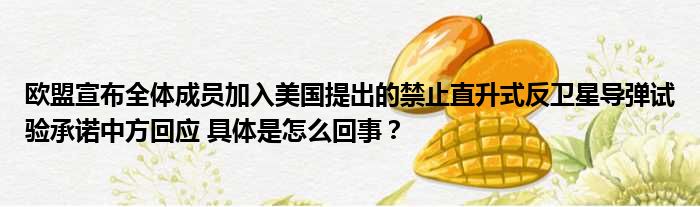 欧盟宣布全体成员加入美国提出的禁止直升式反卫星导弹试验承诺中方回应 具体是怎么回事？