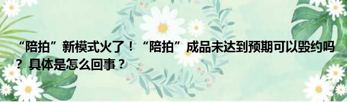 “陪拍”新模式火了！“陪拍”成品未达到预期可以毁约吗？ 具体是怎么回事？