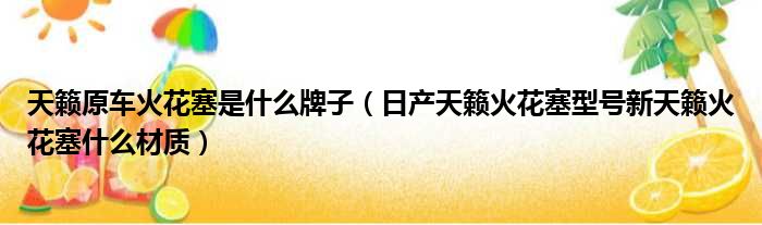 天籁原车火花塞是什么牌子（日产天籁火花塞型号新天籁火花塞什么材质）