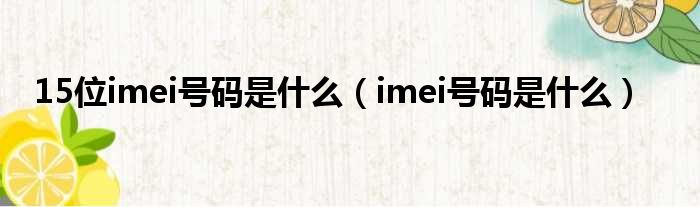 15位imei号码是什么（imei号码是什么）