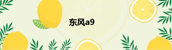 东风a9