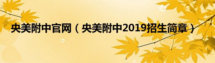 央美附中官网（央美附中2019招生简章）