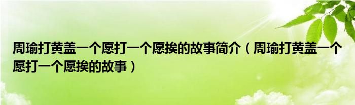 周瑜打黄盖一个愿打一个愿挨的故事简介（周瑜打黄盖一个愿打一个愿挨的故事）