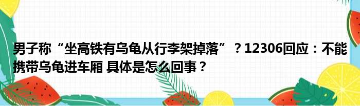 男子称“坐高铁有乌龟从行李架掉落”？12306回应：不能携带乌龟进车厢 具体是怎么回事？