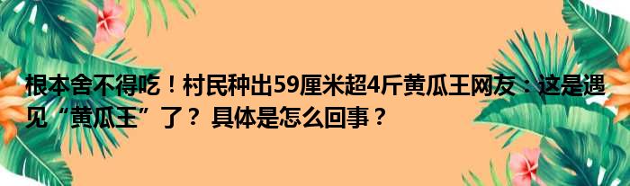 根本舍不得吃！村民种出59厘米超4斤黄瓜王网友：这是遇见“黄瓜王”了？ 具体是怎么回事？