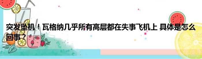 突发坠机！瓦格纳几乎所有高层都在失事飞机上 具体是怎么回事？