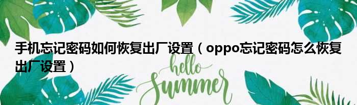 手机忘记密码如何恢复出厂设置（oppo忘记密码怎么恢复出厂设置）