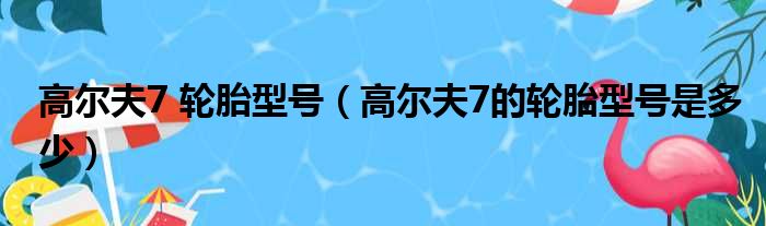 高尔夫7 轮胎型号（高尔夫7的轮胎型号是多少）