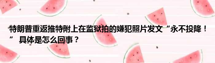 特朗普重返推特附上在监狱拍的嫌犯照片发文“永不投降！” 具体是怎么回事？