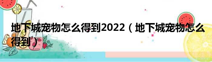 地下城宠物怎么得到2022（地下城宠物怎么得到）