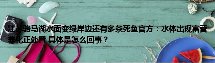 江苏骆马湖水面变绿岸边还有多条死鱼官方：水体出现富营养化正处置 具体是怎么回事？