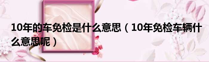 10年的车免检是什么意思（10年免检车辆什么意思呢）