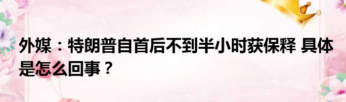 外媒：特朗普自首后不到半小时获保释 具体是怎么回事？